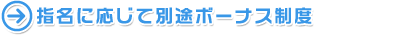指名に応じて別途ボーナス制度